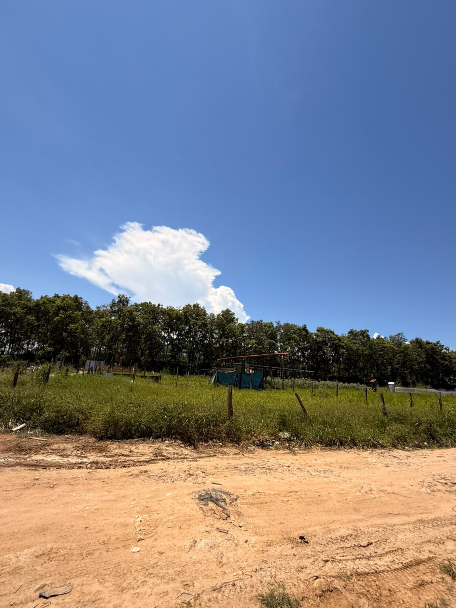 TERRENO EN REMATE TARAPOTO!