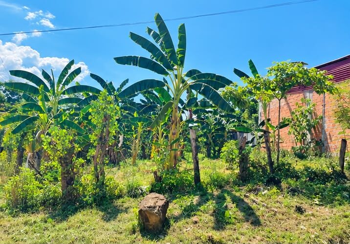 Terreno en Morales