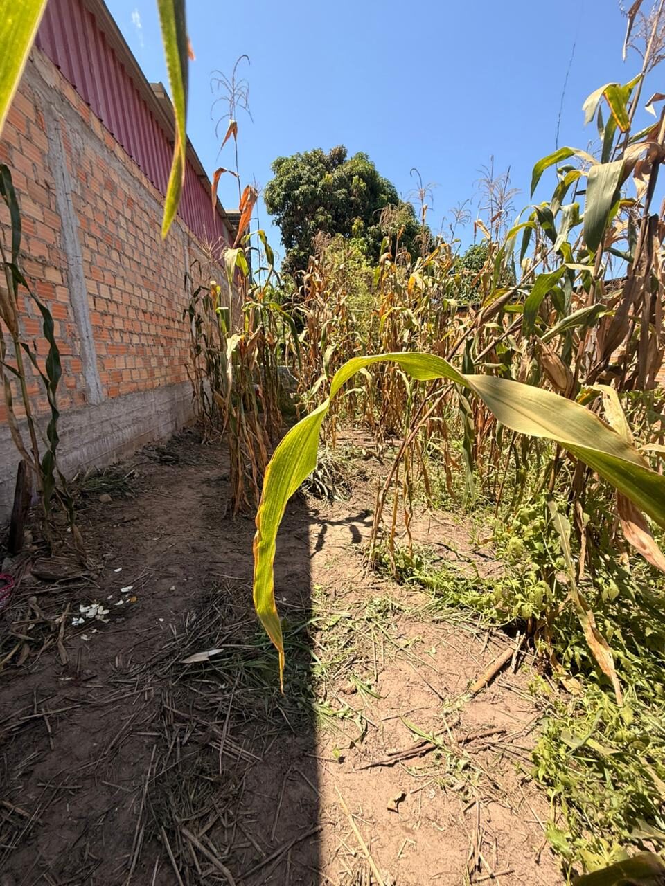 Terreno en Venta