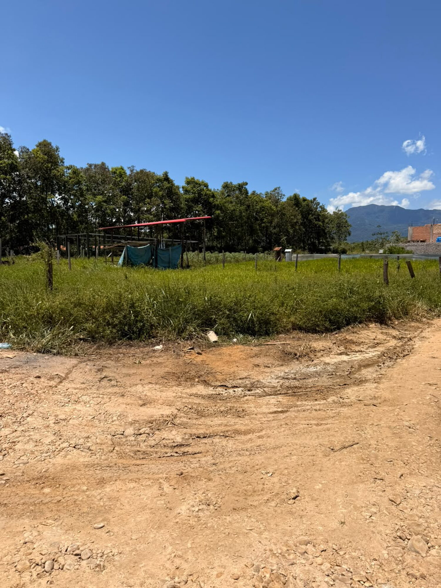 TERRENO EN REMATE TARAPOTO!