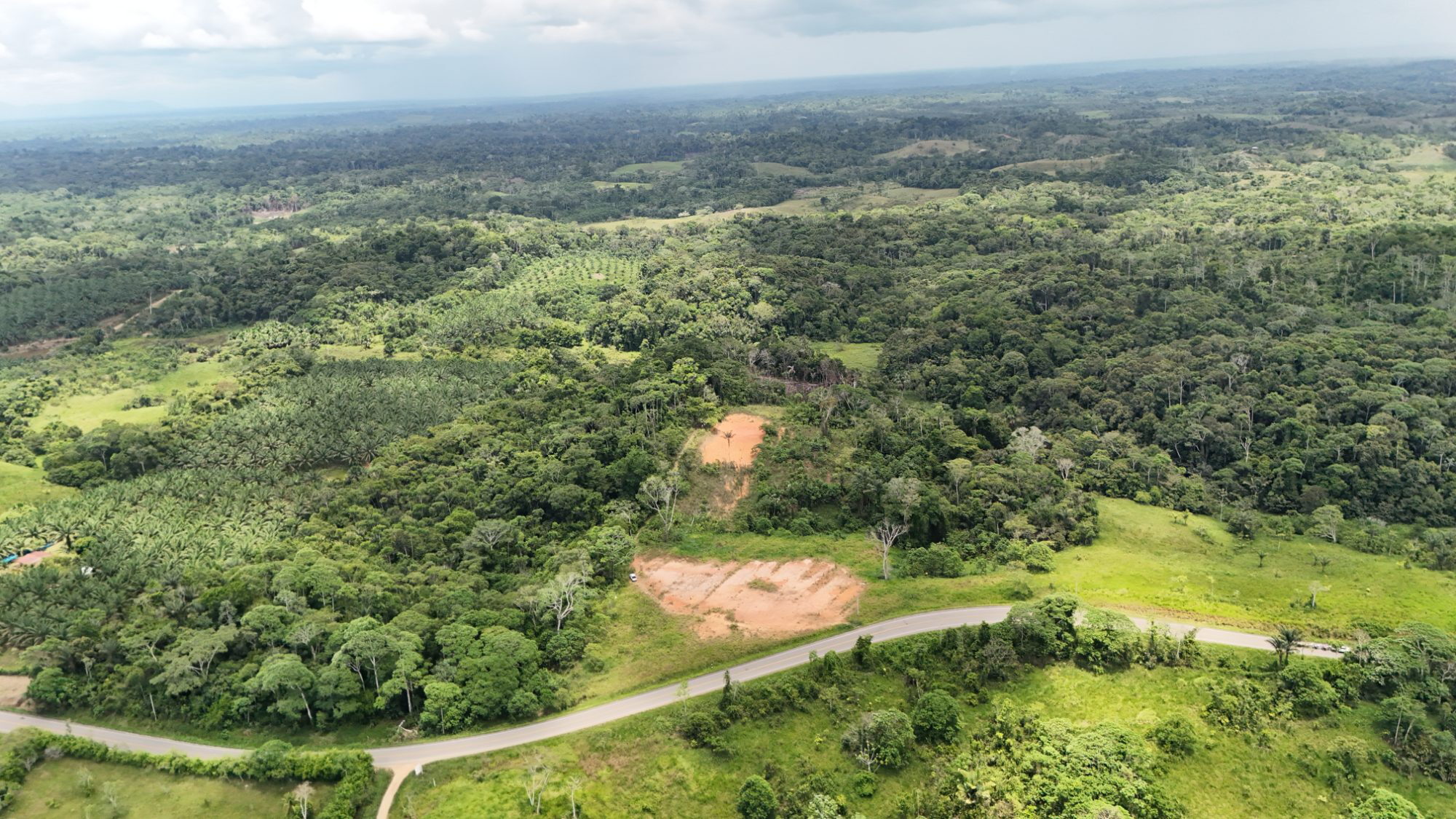 14 HECTÁREAS TERRENO EN REMATE EN YURIMAGUAS - A FILO DE PISTA