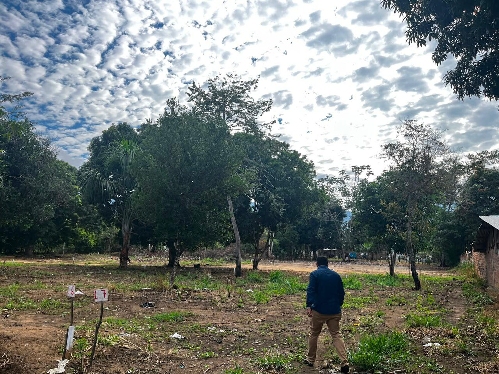 TERRENOS EN VENTA EN EL SECTOR COPERHOLTA – TARAPOTO