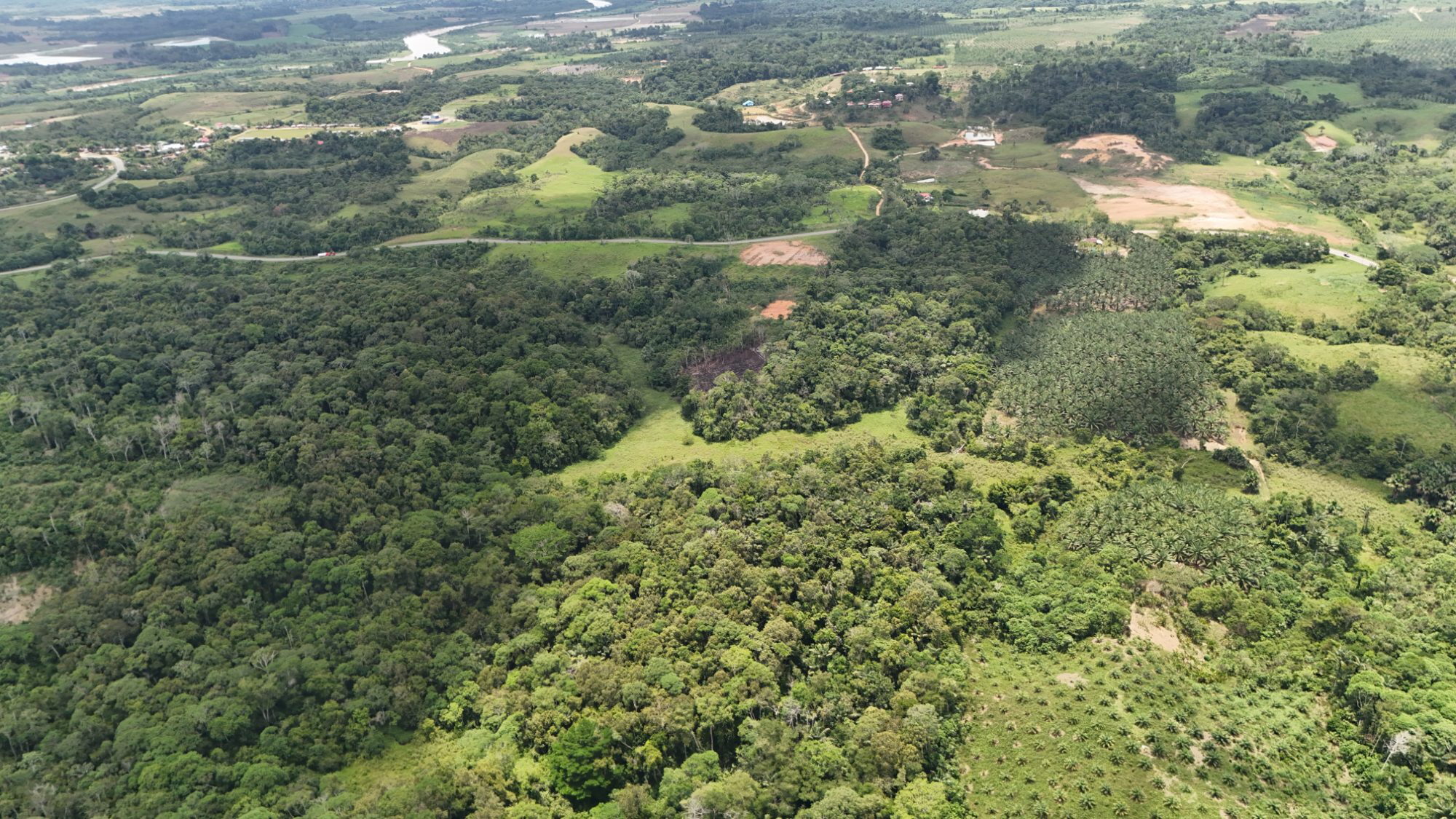 14 HECTÁREAS TERRENO EN REMATE EN YURIMAGUAS - A FILO DE PISTA