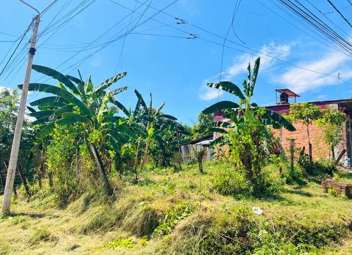 Terreno en Morales