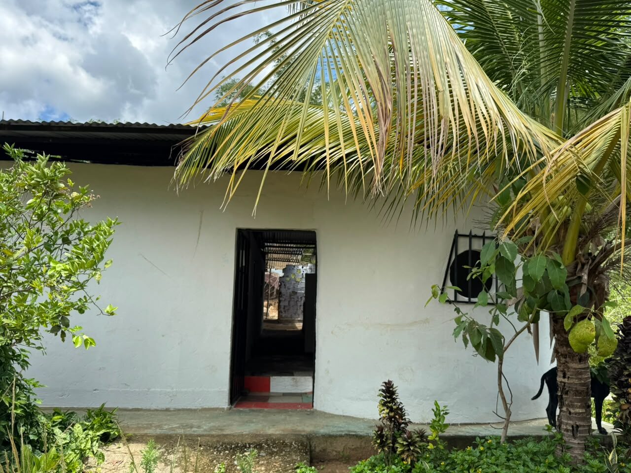 CASA EN REMATE EN TARAPOTO!