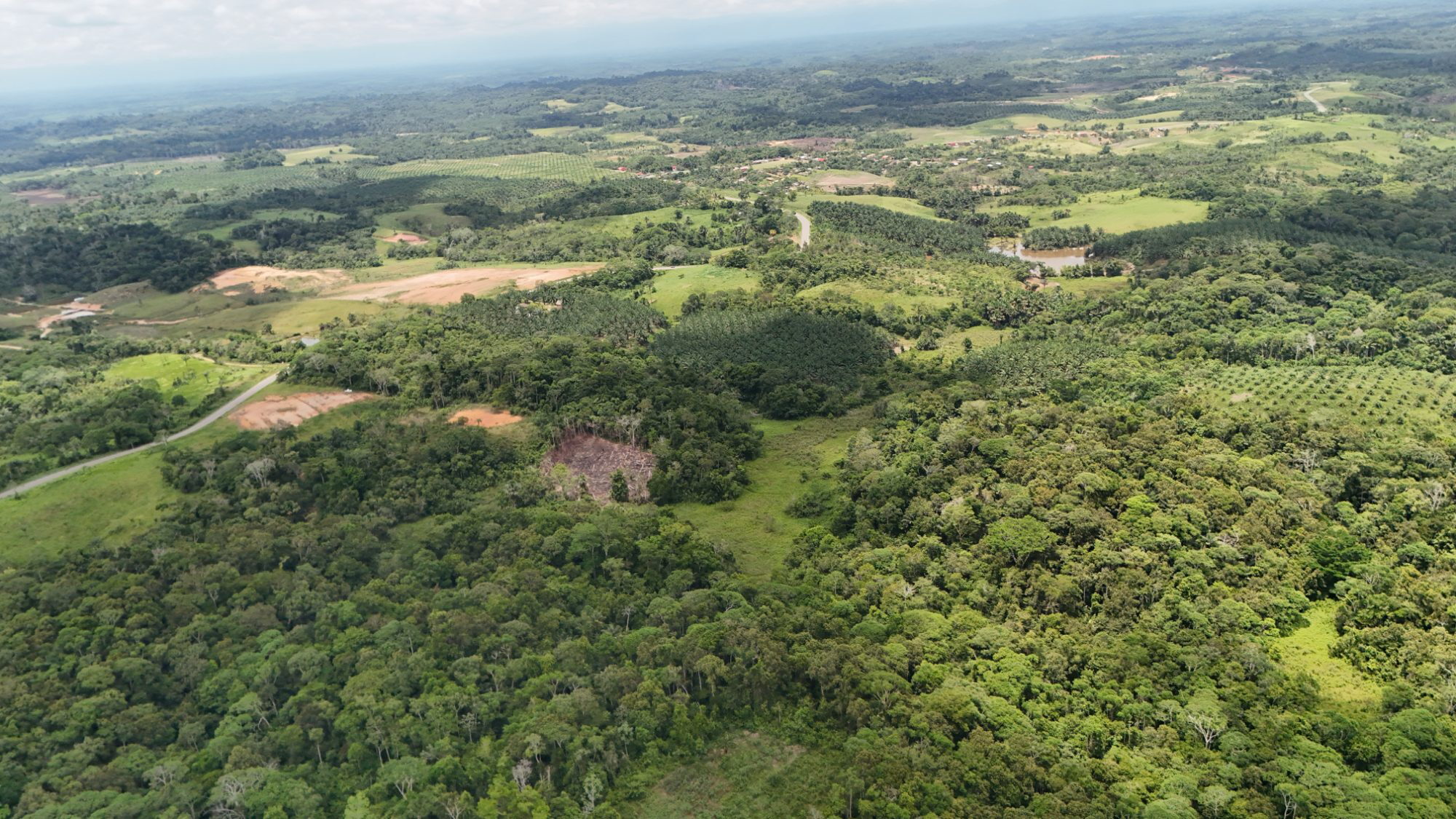 14 HECTÁREAS TERRENO EN REMATE EN YURIMAGUAS - A FILO DE PISTA
